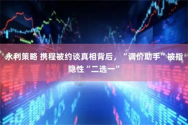 永利策略 携程被约谈真相背后，“调价助手”被指隐性“二选一”